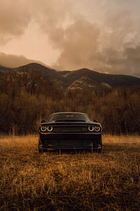 Dodge Challenger American Muscle Unleashed (2160x3840) Resolution Wallpaper