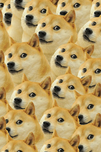 Doge Meme (1242x2668) Resolution Wallpaper