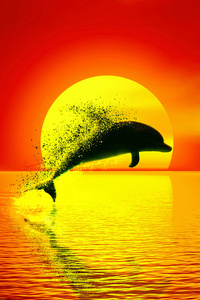 Dolphin Dispersion Sunset 4k (1125x2436) Resolution Wallpaper