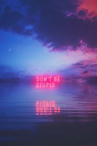 Dont Be Stupid (640x960) Resolution Wallpaper