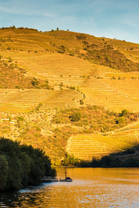 Douro River 8k (640x1136) Resolution Wallpaper