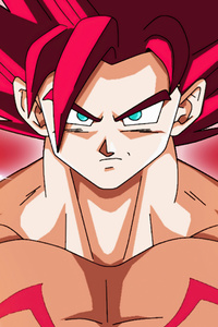 Dragon Ball Super Goku Super Saiyan God 4k