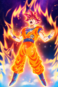 Dragon Ball Z Goku