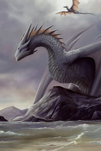 Dragon Digital Art Fantasy (2160x3840) Resolution Wallpaper
