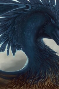 Dragon Fantasy Art Feathers