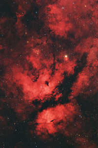 Dragon Galaxy Universe 4k (2160x3840) Resolution Wallpaper