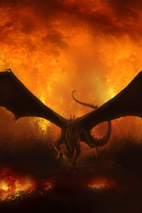 Dragon In Flames (720x1280) Resolution Wallpaper