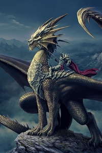 720x1280 Dragon Knight Fantasy Art
