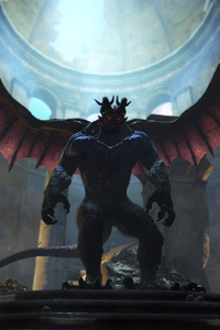 Dragons Dogma Dark Arisen PS4 Xbox 4k (480x800) Resolution Wallpaper