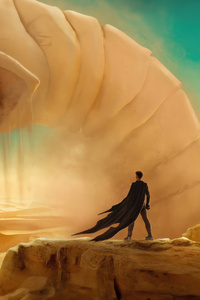 480x854 Dune Movie Fanart