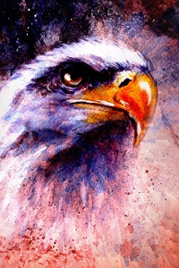 240x400 Eagle Abstract 5k