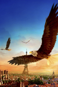 Eagle Flight 4k (1080x2280) Resolution Wallpaper