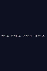 240x320 Eat Sleep Code Repeat 5k