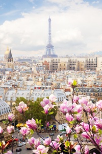 360x640 Eiffel Tower France Flowers Beautiful 4k