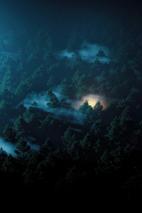 1080x2280 Enchanted Twilight In The Dark Forest