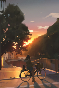 Evening Cycle Ride 4k (1440x2960) Resolution Wallpaper