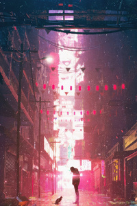 Exploring Empty Streets With A Curious Cat (240x320) Resolution Wallpaper