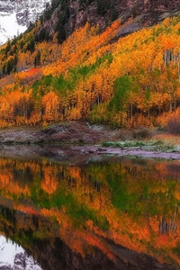 Fall Foliage Forest Lake Nature Reflection (1080x2160) Resolution Wallpaper