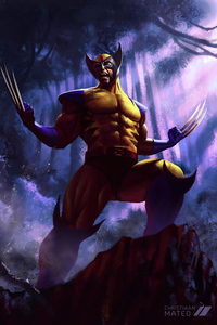 Fanart Of Wolverine