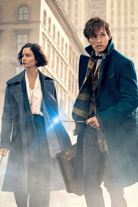 Fantastic Beasts And Where To Find Them Movie (240x320) Resolution Wallpaper