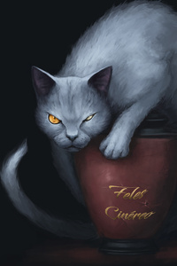 Feles Cinereo Cat (320x480) Resolution Wallpaper