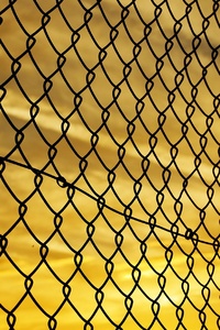 Fence Yellow Sky (480x854) Resolution Wallpaper