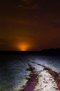Field During Night Time 8k (240x400) Resolution Wallpaper