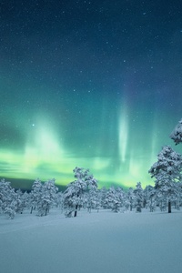 Finland Night Aurora Outdoor Nature 5k (1280x2120) Resolution Wallpaper