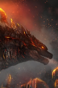 Fire Godzilla 4k (1080x2160) Resolution Wallpaper