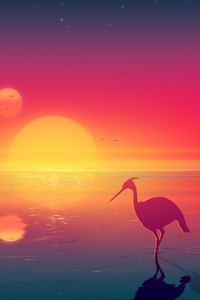 Flamingo Digital Art