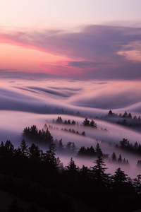 Fog Flow And Storm Clouds (540x960) Resolution Wallpaper