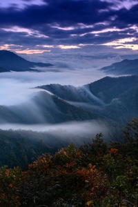 Foggy Clouds Covering Mountains 4k (640x1136) Resolution Wallpaper