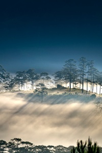 Foggy Morning Hills 8k (320x568) Resolution Wallpaper
