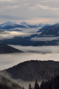 Foggy Mountains (750x1334) Resolution Wallpaper