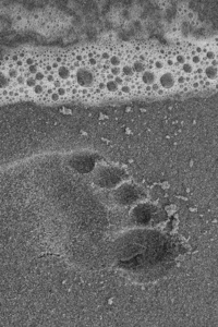 Footprint On Sand Beach 4k