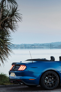 Ford Mustang EcoBoost Convertible 2018 (320x568) Resolution Wallpaper