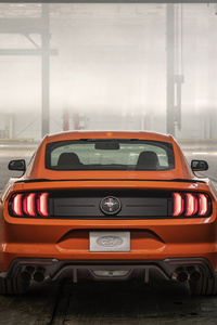 Ford Mustang Ecoboost High Performance Package 2020
