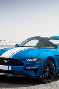 Ford Mustang EcoBoost Performance Pack 1 2018