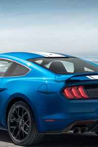 Ford Mustang EcoBoost Performance Pack 1 2018 Rear (1280x2120) Resolution Wallpaper