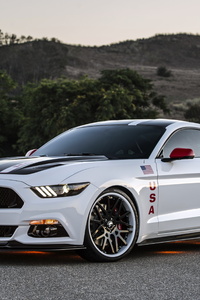 Ford Mustang Gt Apollo Edition 2017 (640x1136) Resolution Wallpaper