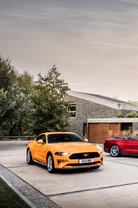 Ford Mustang GT Fastback And EcoBoost Convertible