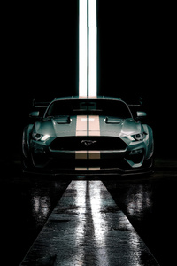Ford Mustang Gt Power (1080x1920) Resolution Wallpaper