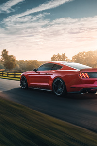 Ford Mustang GT Rear