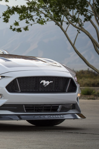 Ford Mustang Lithium 2019 Front (480x854) Resolution Wallpaper