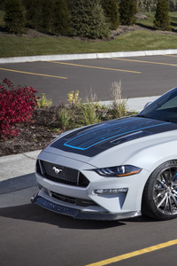Ford Mustang Lithium 2019 (1080x2160) Resolution Wallpaper
