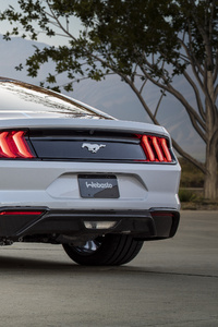 Ford Mustang Lithium 2019 Rear (640x1136) Resolution Wallpaper