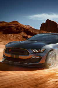 Ford Mustang Shelby GT350 (320x568) Resolution Wallpaper