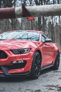 Ford Mustang Shelby GT350 Red Stripes 4k
