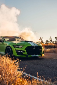 Ford Mustang Shelby GT500 Car (360x640) Resolution Wallpaper