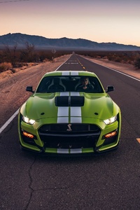 Ford Mustang Shelby GT500 Front